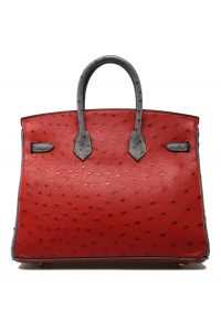Hermès HSS Birkin 25 Bright Red Rouge Vif & Graphite Ostrich with Brushed  Gold Hardware - Bags - Kabinet Privé