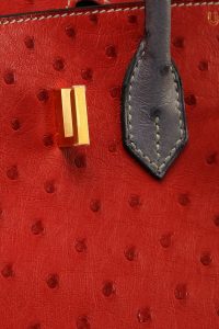 Hermès HSS Birkin 25 Bright Red Rouge Vif & Graphite Ostrich with Brushed  Gold Hardware - Bags - Kabinet Privé