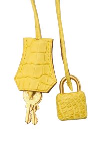 Hermes Birkin 30 Bag Mimosa Matte Alligator Gold Hardware – Mightychic