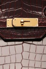 Hermes Birkin 35 Diamond Bordeaux Porosus Crocodile Bag White Gold Hardware